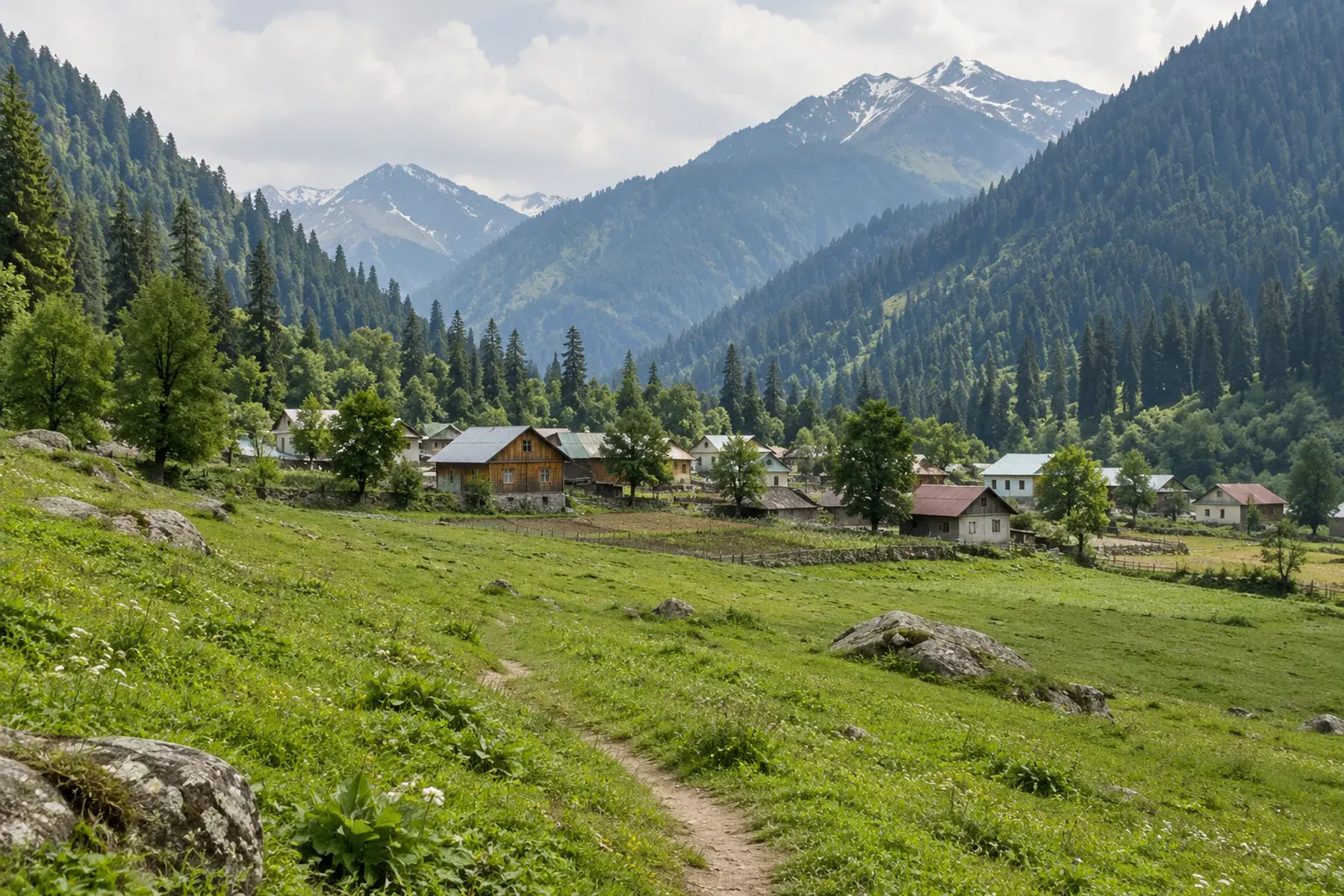 Aru Valley, Pahalgam: Meadows, Ponies and the Start of the Treks
