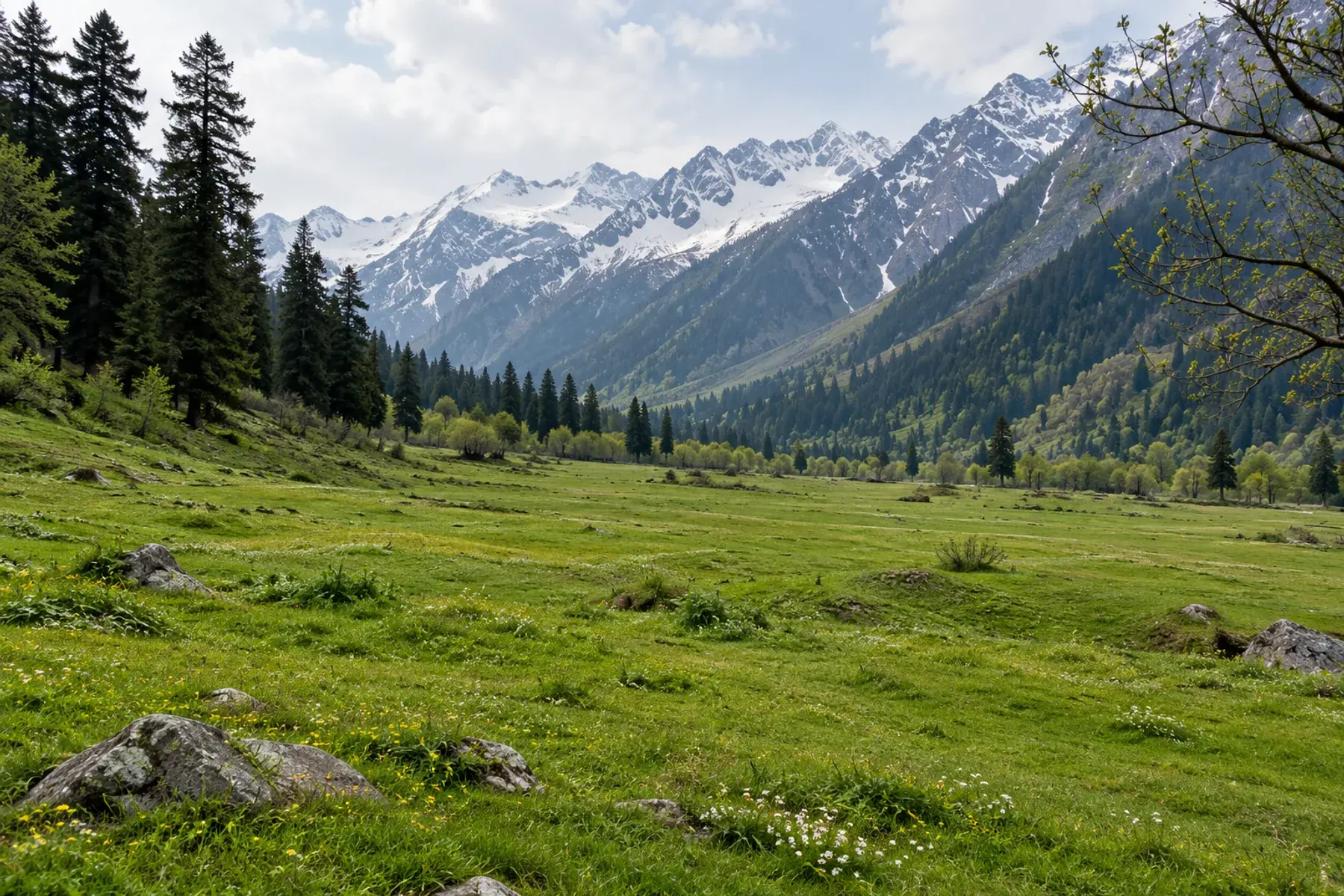 Which SIM Card Works in Kashmir? Prepaid, Postpaid and Local Options