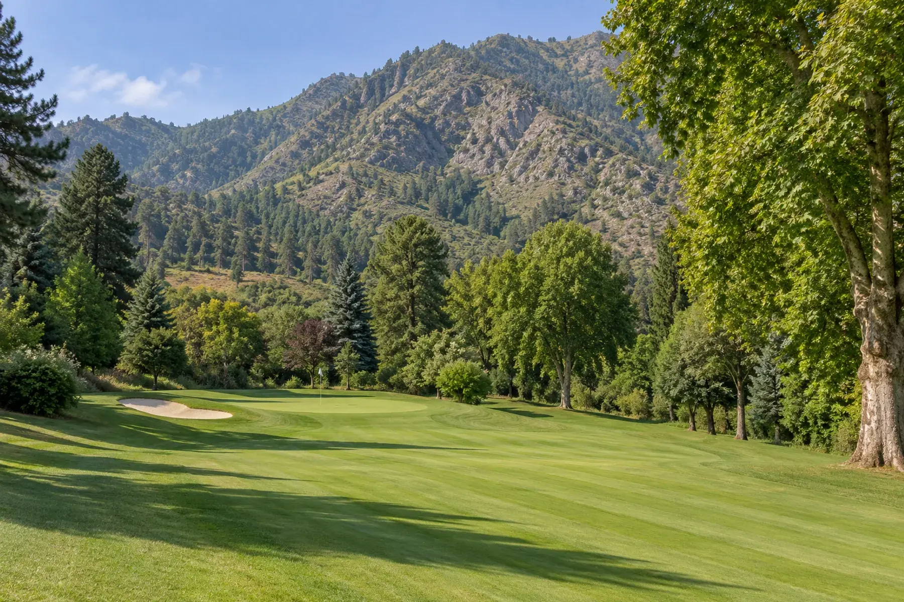 Royal Spring Golf Course Package — Srinagar