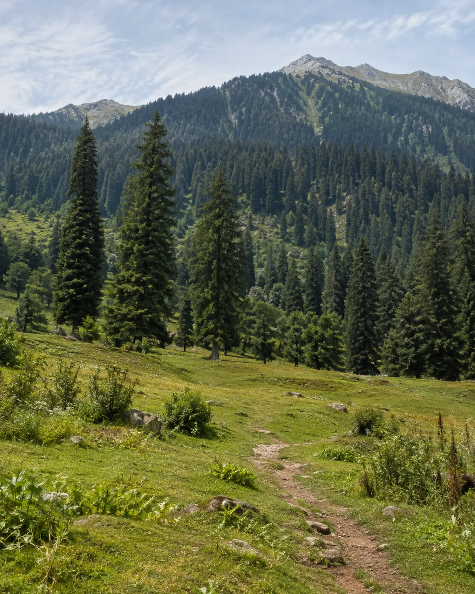 Best Time to Visit Pahalgam — A Seasonal Guide for Every Traveller