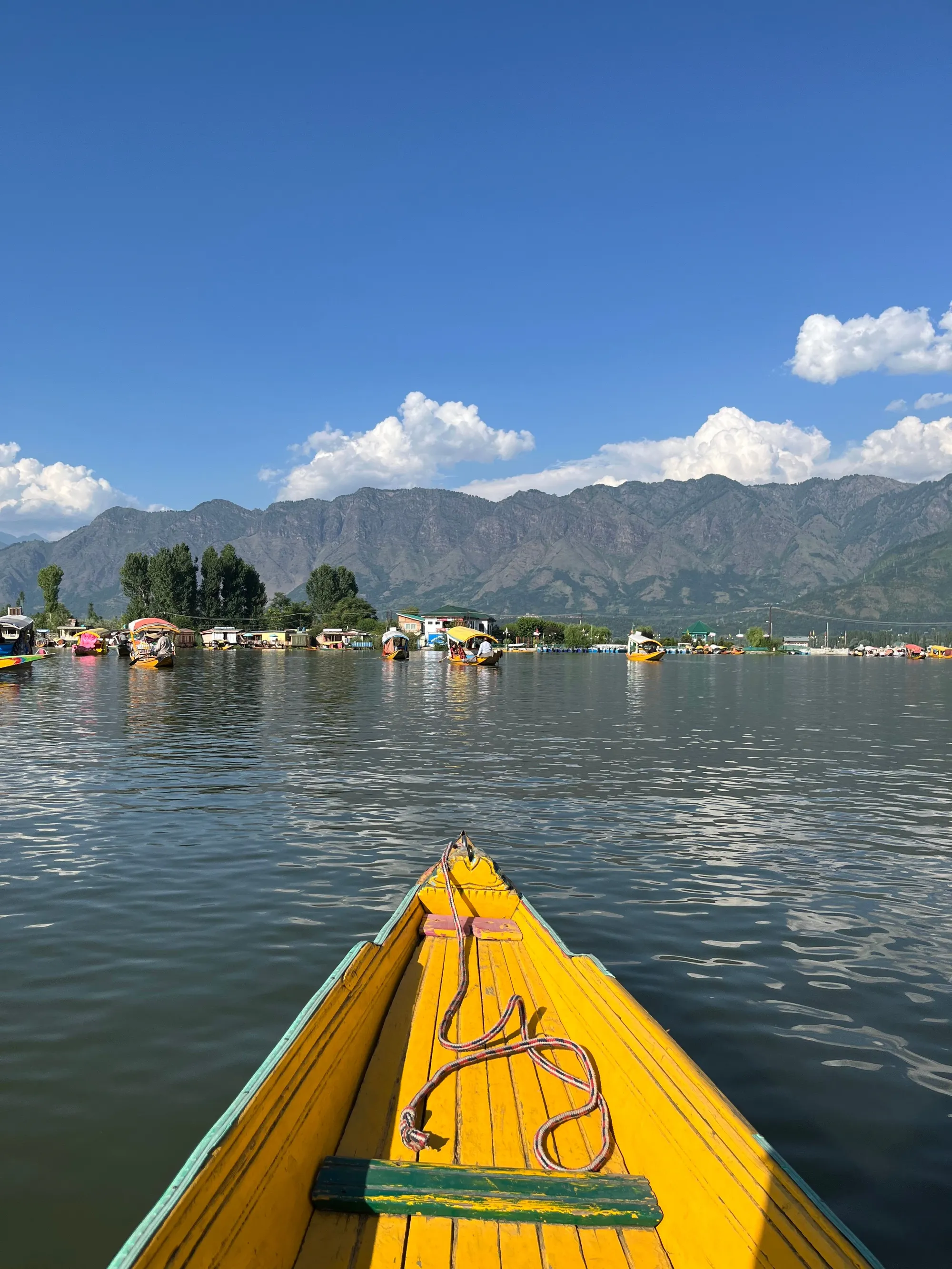 The Perfect 7-Day Kashmir Honeymoon Itinerary - Kashmir travel blog by TDI Holiday Ventures